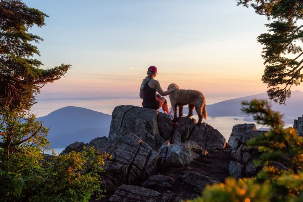 7 Essentials for the Ultimate Dog Hiking Adventure