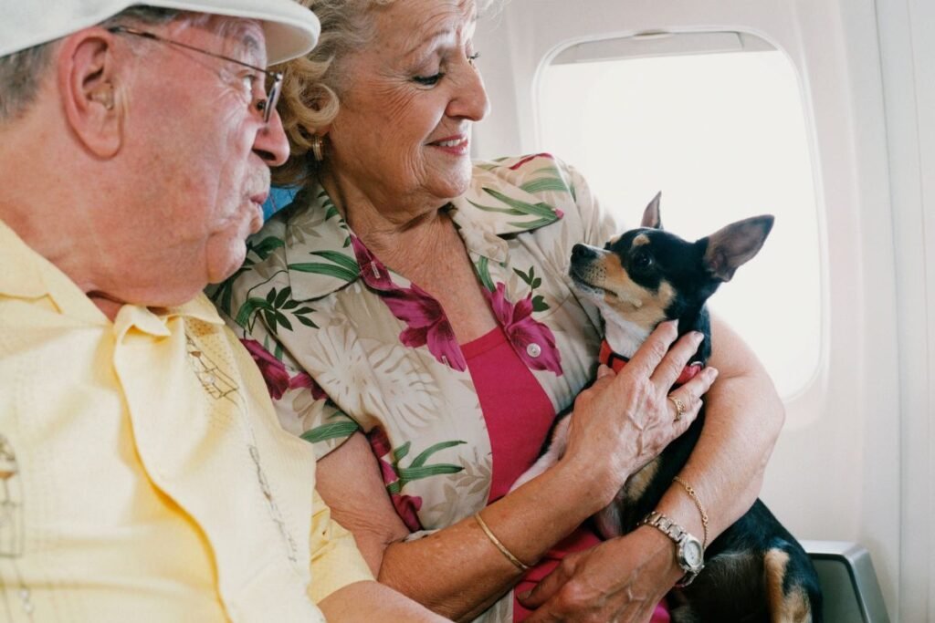 Flying With Your Dog: 6 Essential Tips for Safe and Stress-Free Travel