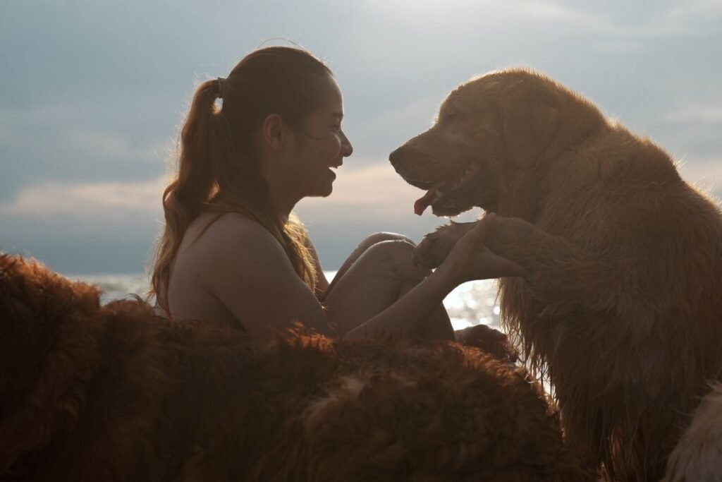 Infinite Devotion: Exploring Compassion and Empathy Through the Eyes of Dogs