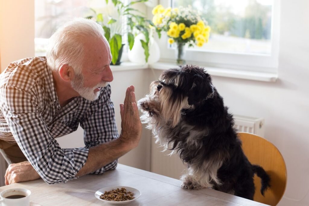 Unveiling the Science: What Makes Dogs Truly Man's Best Friend?