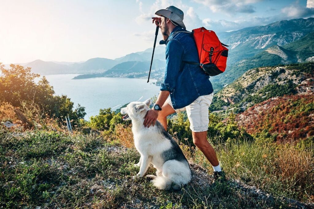 Exploring Nature's Beauty: The Ultimate Guide to Hiking Trails for You and Your Dog