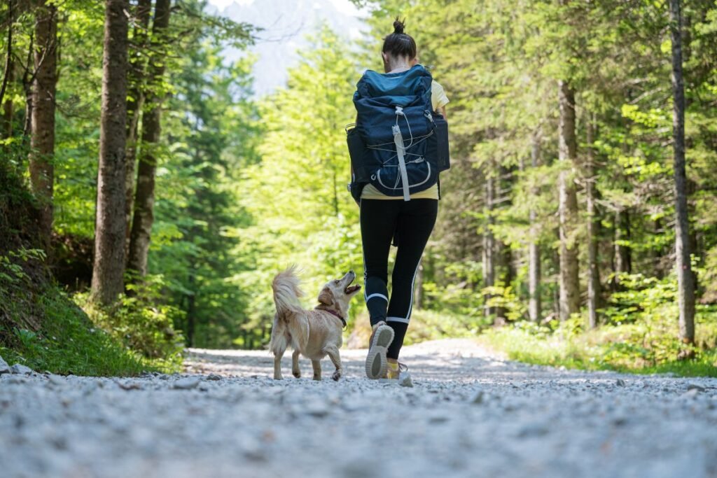 Exploring Nature's Beauty: The Ultimate Guide to Hiking Trails for You and Your Dog