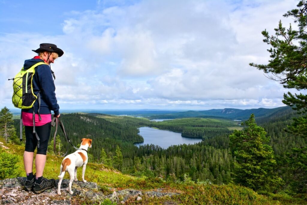 Trailblazing Tails: Embark on Adventures with Your Canine Companion on Hiking Trails