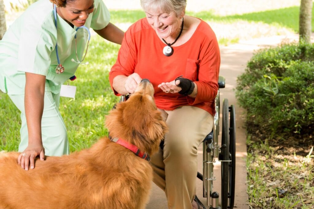 Paws for Healing: How Dogs Bring Comfort and Support to Hospitals, Nursing Homes, and Schools