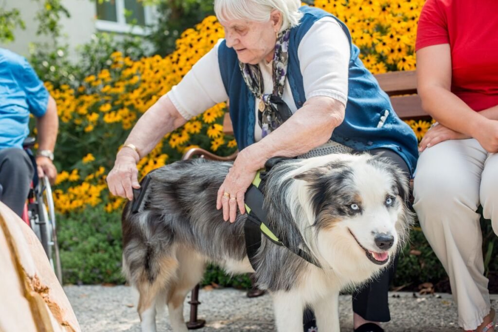 How Emotional Support Dogs Enhance Seniors' Well-Being