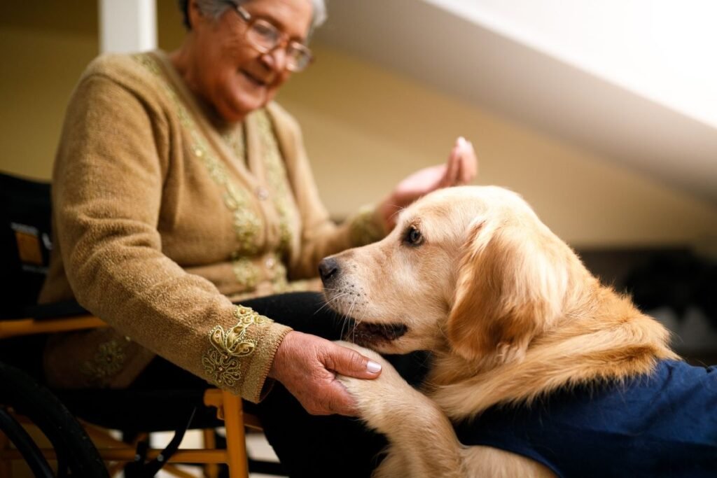 Senior Residences That Embrace Pets