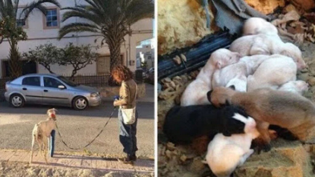 post-pics-new-broken