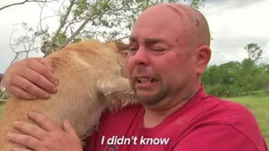 post-pics-new-tornado