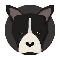 dog-in-human-years-calculator