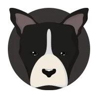 dog-in-human-years-calculator