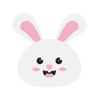 rabbit-in-human-years-calculator