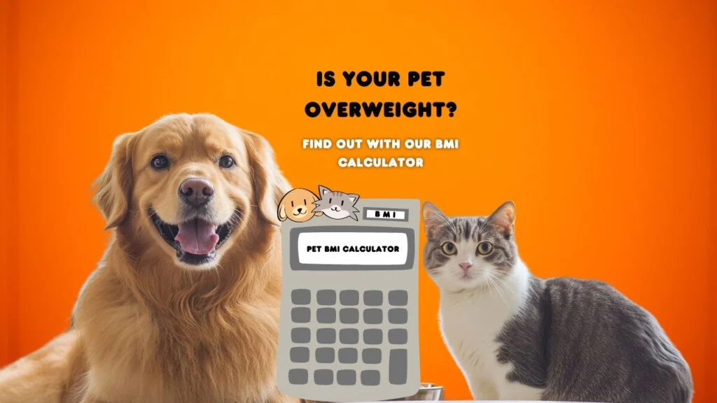 pet-bmi-calculator